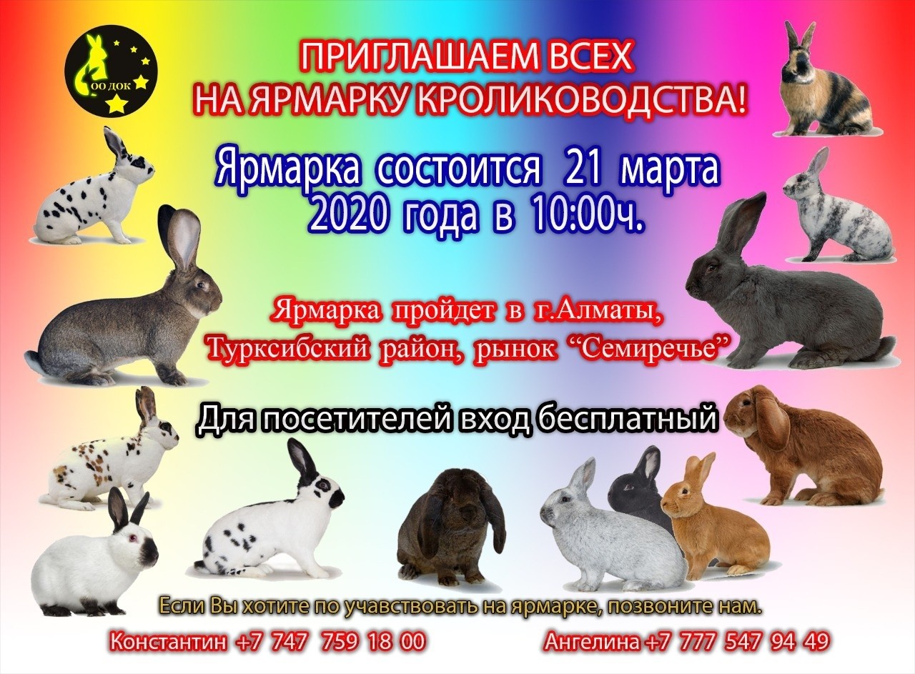 Ярмарка алматы по кроликам